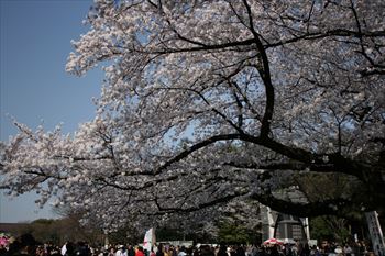 上野公園の風景