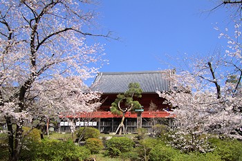 上野公園の風景