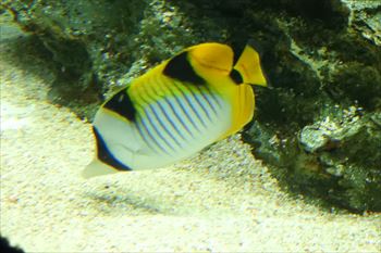 サンシャイン60の風景