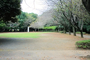 城山公園の風景