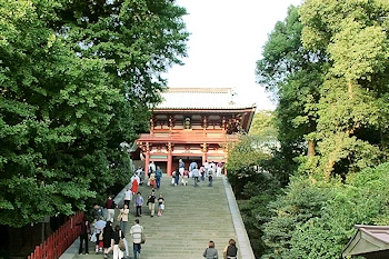 鶴岡八幡宮の風景