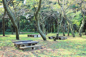 最明寺史跡公園の風景