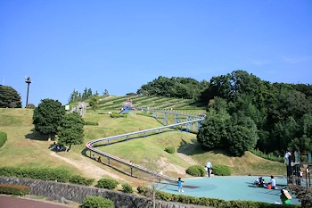 中井中央公園の風景