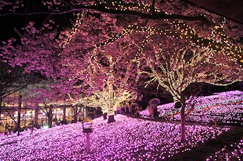 さがみ湖リゾートプレジャーフォレストの風景