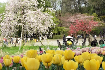 三ッ池公園の風景