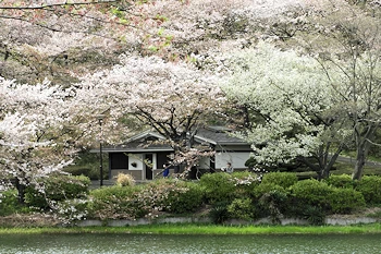 三ツ池公園の風景