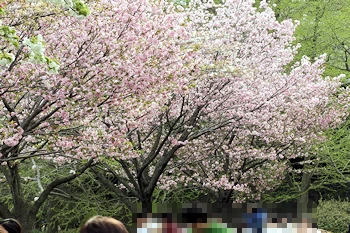 三ツ池公園の風景