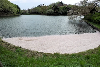 三ツ池公園の風景