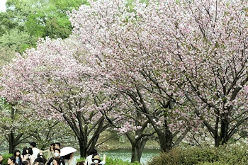 三ツ池公園の風景