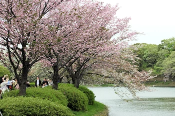三ツ池公園の風景