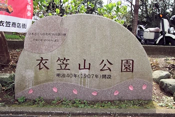 衣笠山公園の風景