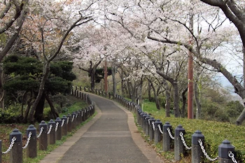 衣笠山公園の風景