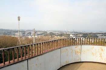 衣笠山公園の風景
