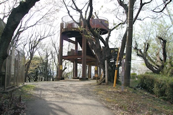 衣笠山公園の風景