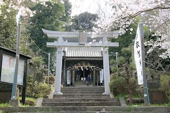 衣笠山公園の風景