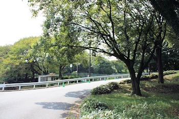 座間谷戸山公園の風景