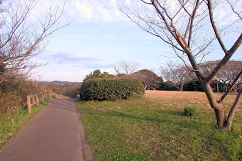 大崎公園の風景