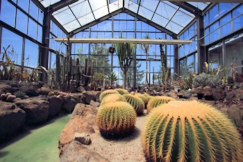 安田フラワーガーデンの風景