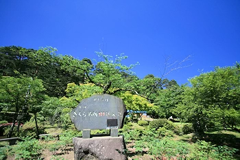 村松公園の風景