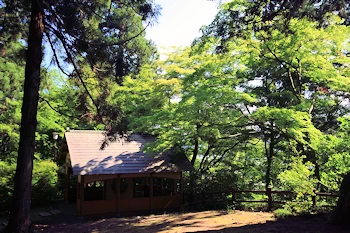 加茂山公園の風景