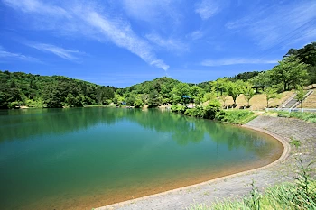 大平森林公園の風景