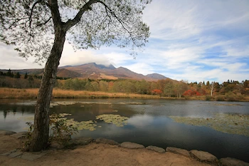 イモリ池の風景