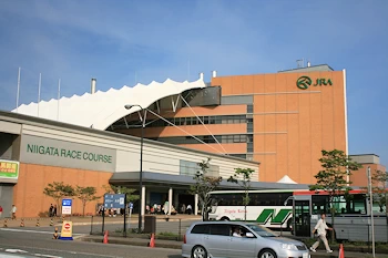 新潟競馬場の風景