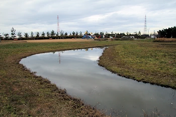 風致公園の風景