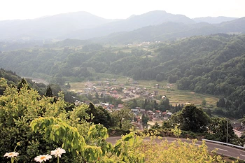 県道251線の風景