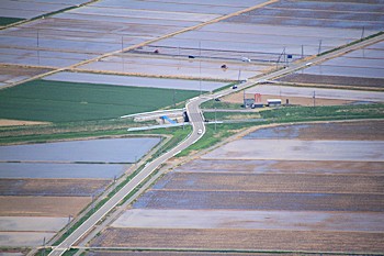 弥彦山のふもとに広がる田んぼの風景