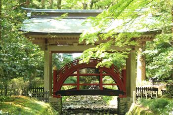 弥彦神社の風景