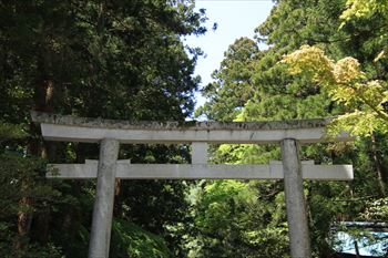 弥彦神社の風景