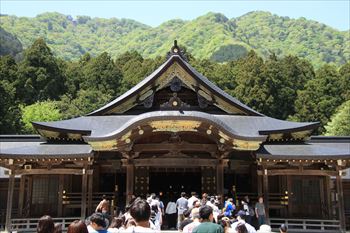 弥彦神社本殿の風景