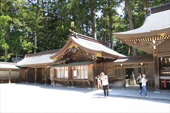 弥彦神社の風景