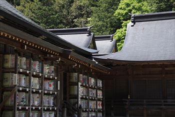 弥彦神社の風景