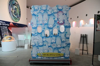 ほたるいかミュージアムの画像