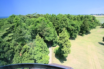 水源の森の画像