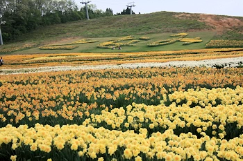 となみ夢の平の画像