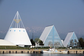 魚津埋没林博物館の画像