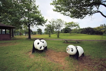 白虎山公園の画像
