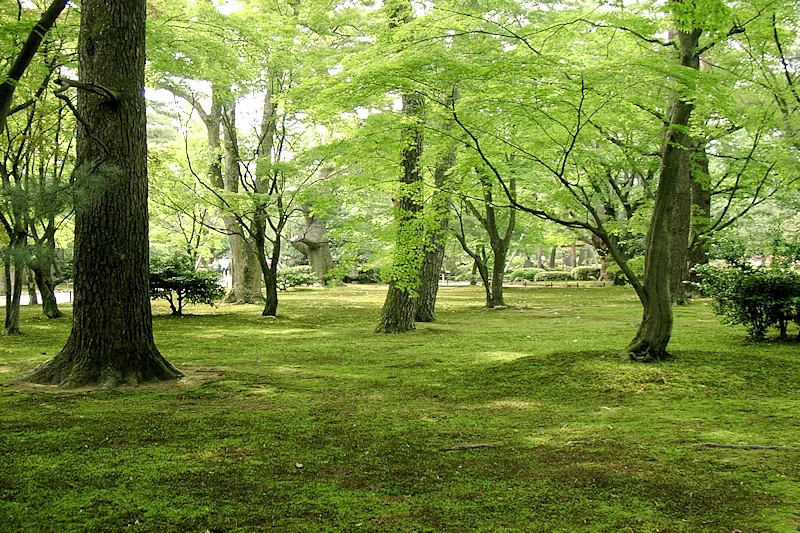 兼六園
