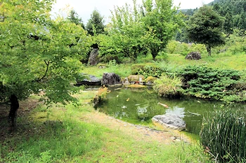 小次郎公園の画像