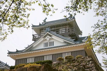 越前大野城の画像