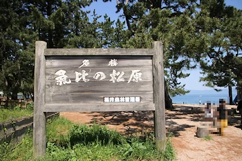 気比の松原の風景