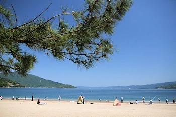 気比の松原の風景