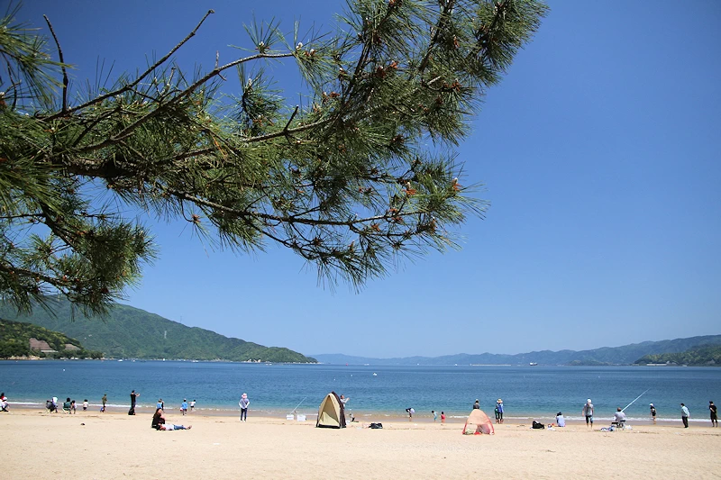 気比の松原の風景