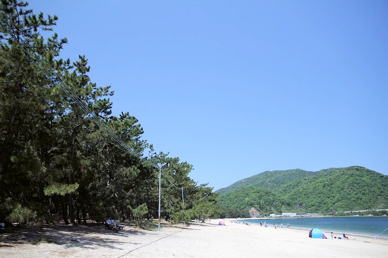 気比の松原の風景
