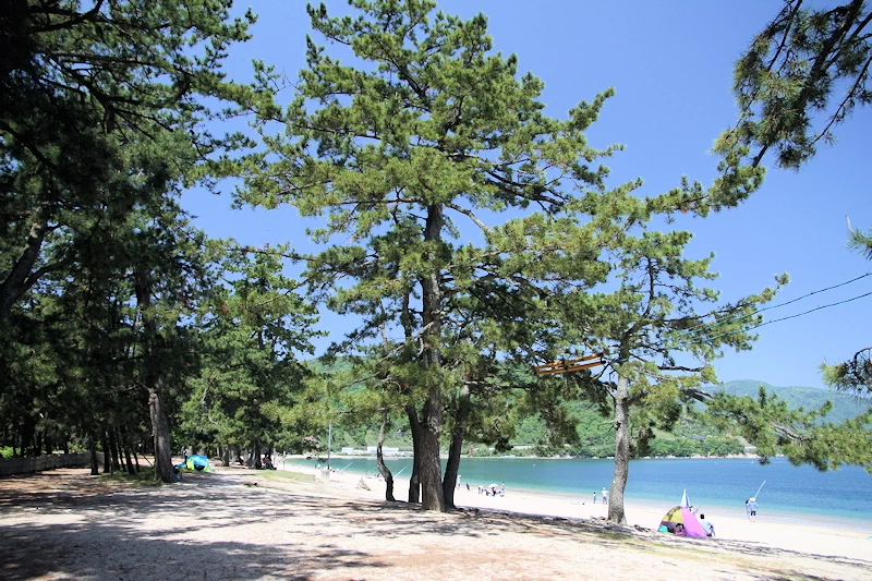 気比の松原の風景