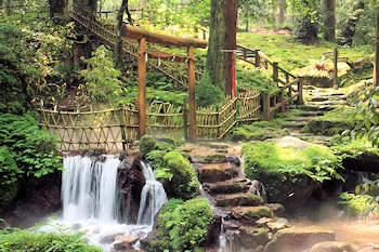 若狭瓜割名水公園の画像