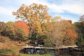 オオムラサキ自然公園の画像